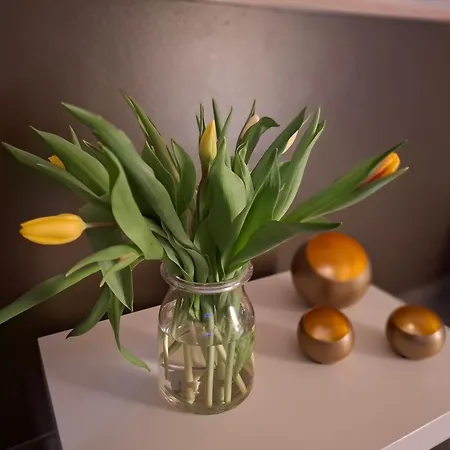 度假居 L'antre Parenthese Grand-Halleux