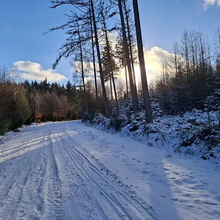 L'antre Parenthese 펜션 Grand-Halleux